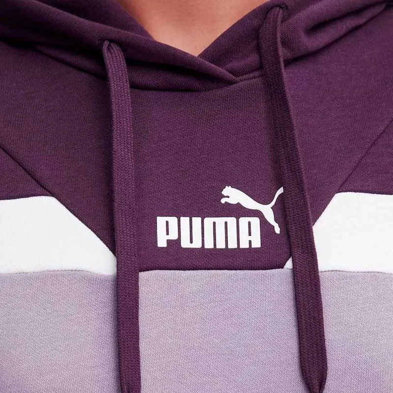 Buzo Puma Power Hoodie