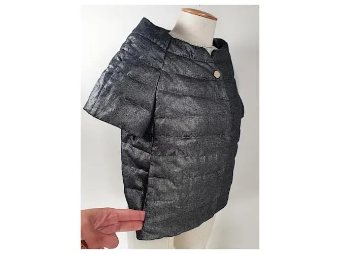 Herno Chaquetas Plata Gris 